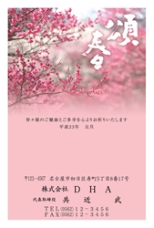 頌春　ピンクを基調にした梅の花の写真の年賀状